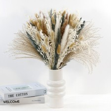 20Pcs Natural Dried Flowers