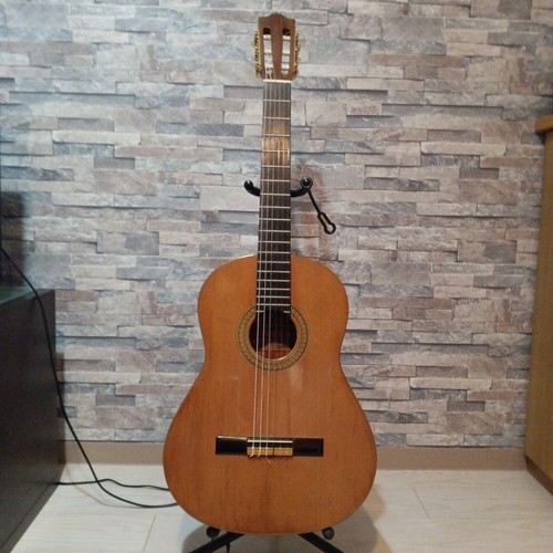 Hiroshi tamura flamenco guitar - tamura,