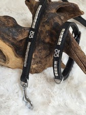 Puppy Staffy Designer Collar &