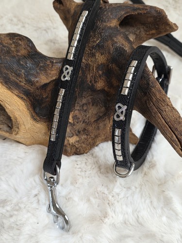 Puppy staffy designer collar - designer,