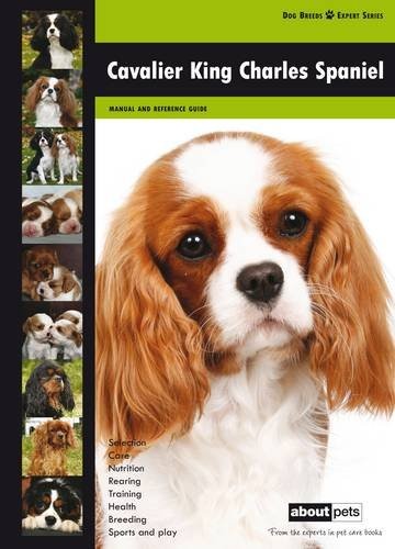Cavalier king charles - king, spaniel