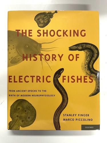 The shocking history - the,