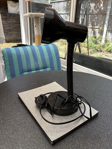 Desktop lamp with flexible - with,