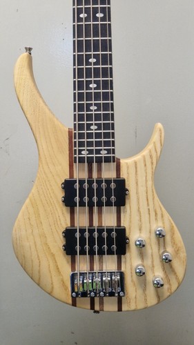 Magna bass5st string bass - magna,