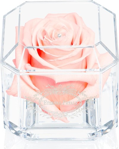 100 real rose lasts - real,