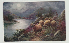 Vivian Mansell Art Postcard