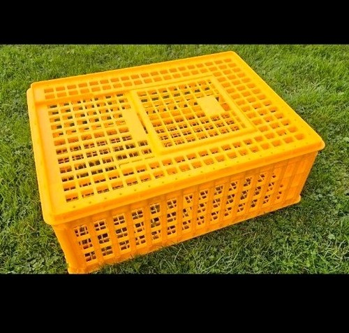 Poultry crate professional - poultry,
