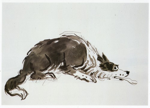 Sheepdog crouching kyffin - sheepdog,