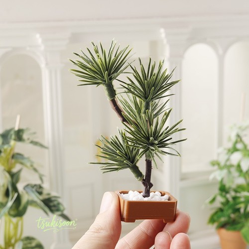 2pc pine tree potted - potted, plant