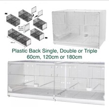 120 180cm finch canary - /,