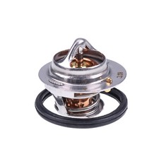 Thermostat 49054-1068 for