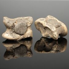 SUPERB ANCIENT ROMAN GAMING COUNTERS. KNUCKLE BONES DATING CIRCA 2nd Century AD