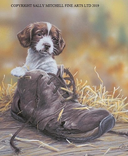 Paul doyle new - paul,