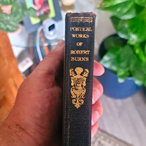 Robert burns poetical works - robert,