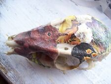 Muntjac Doe Deer Skull, decoupaged.