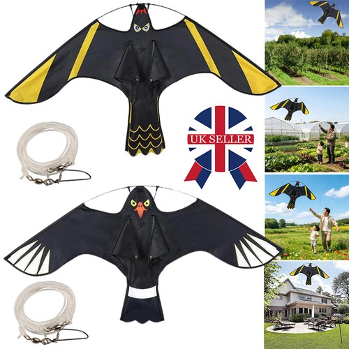 Flying hawk kite garden bird - flying,