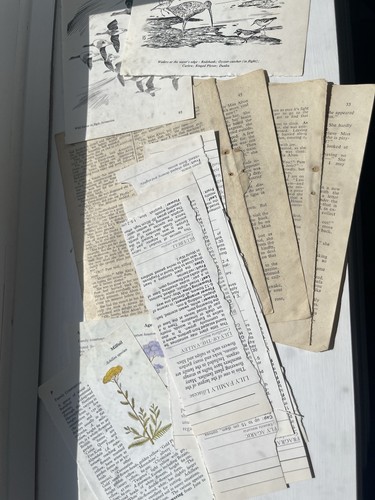 Vintage ephemera bundle - vintage,