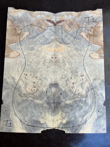 Buckeye burl bookmatched - buckeye,