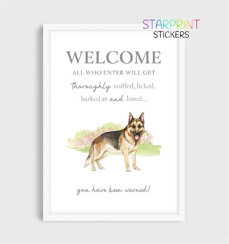 German shepherd dog welcome - shepherd,