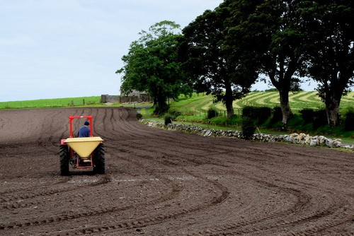 Photo 6x4 sowing - grass, seed