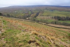 Photo A1 South Tynedale below Higher Silly Hall Leadgate/NY7043 There i c2014