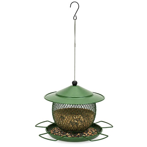 Hanging bird feeder - bird, with