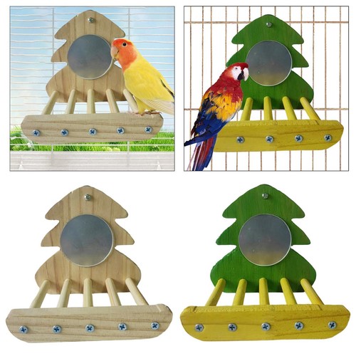 Parrot bird mirror boredom - bird,