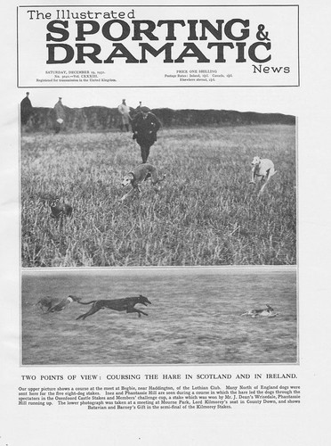 Hare coursing scenes - hare,