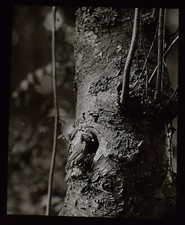 VINTAGE Magic Lantern Slide A