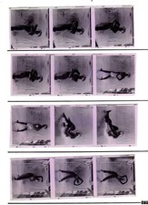 Medium Format 2  & 1/4 square negatives amateur modeL,  film - 201