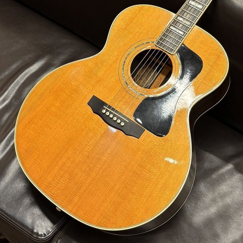 Guild used acoustic - nt,