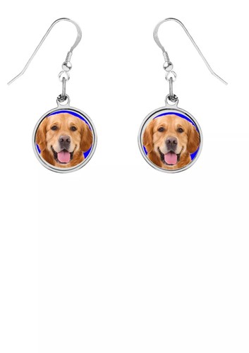 Golden retriever dog codez5 - retriever,