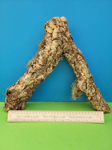 Cork bark branch 33cm - bark,