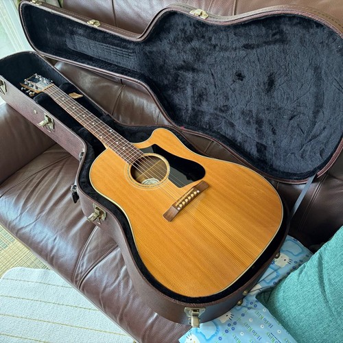 Gibson usa ag - gibson, electric