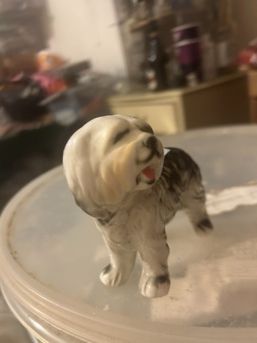 Unmarked old english - unmarked, sheepdog