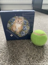 Hudson and Middleton Kitten