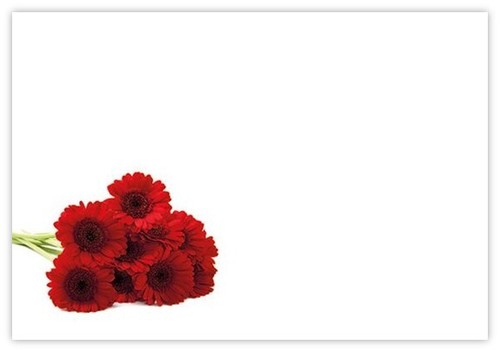 Oasis blank flower - blank,