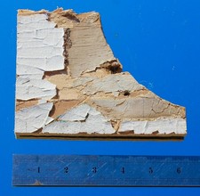 WHITE STAR LINE OLYMPIC 6" SMOKING ROOM PLYWOOD CEILING HALTWHISTLE OFFCUT #4