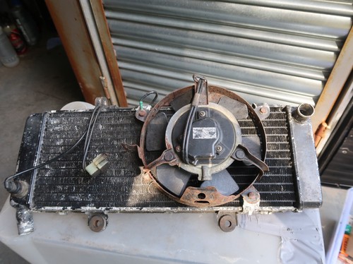 Honda cbr600 radiator - honda,