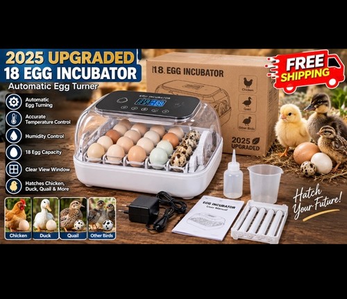 Egg incubator with humidity - egg,