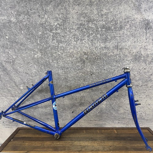 Vintage bianchi boardwalk - vintage,