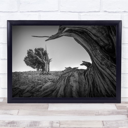 Landscape black white - black,