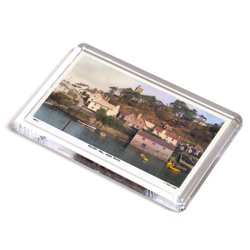 Fridge magnet vintage devon - magnet,
