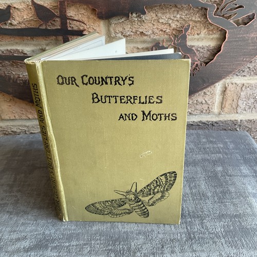 Our country butterflies - country’s, &