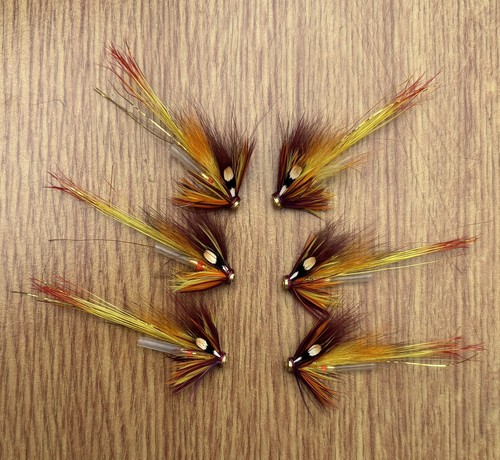 Claret gunn shrimp - x,