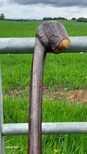Blackthorn shillelagh style