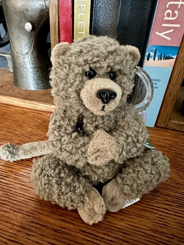Coca cola bottle bean plush - cola,