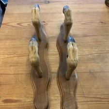 Scottish Roe Deer Hooves