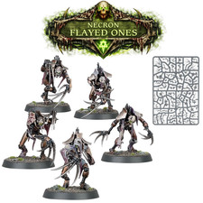 Warhammer 40k Necron Flayed