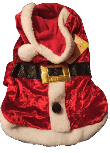 Pet dog santa - pet,